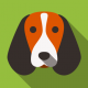 cane_auto_crippa