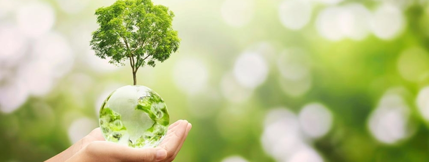 Verniciatura auto ecologica con le vernici della linea Eco Balance di Glasurit